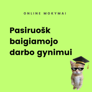 Online mokymai ,,Pasiruošk baigiamojo darbo gynimui"