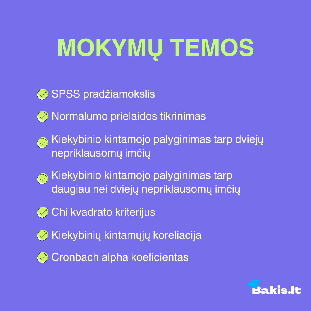 SPSS mokymai: NUO ... IKI (išsamūs mokymai) - Image 2